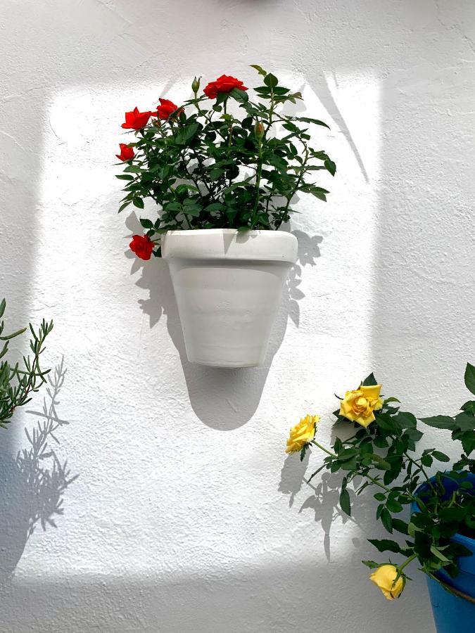 Casa Rural Les Avies Cerca Del Mar La Nucía 외부 사진